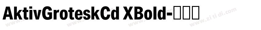 AktivGroteskCd XBold字体转换